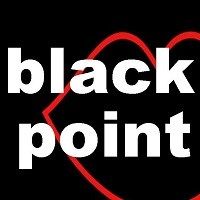 Black Point logo